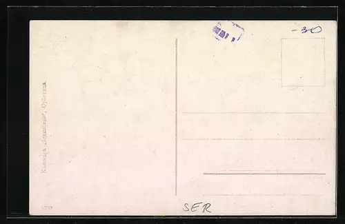 AK Subotica, Opsti izgled