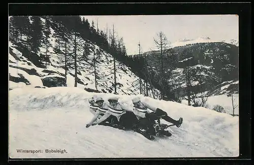 AK Vier Herren haben Spass beim Bobsleigh, Schlitten