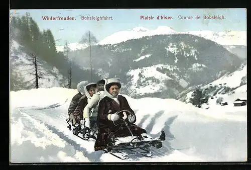 AK Winterfreuden, Vier Personen bei der Bobsleighfahrt, Schlitten