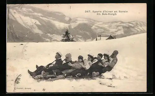 AK Sports d`hiver en Savoie En Bob-Sleigh, Schlitten