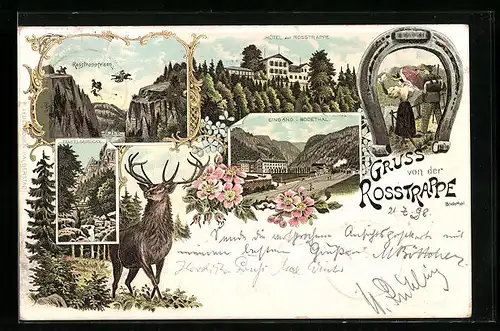 Lithographie Thale, Hotel zur Rosstrappe, Rosstrappfelsen, Eingang i. Bodethal
