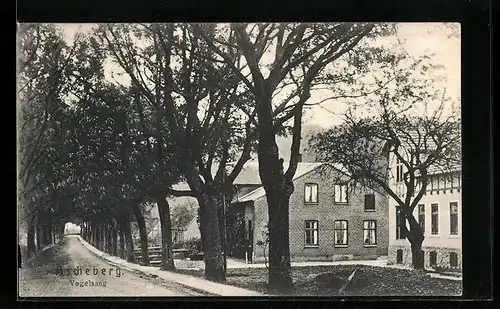 AK Ascheberg, Strasse Vogelsang mit Bäumen