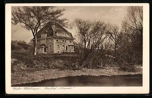 AK Unter-Uhldingen, Gasthof Seeperle