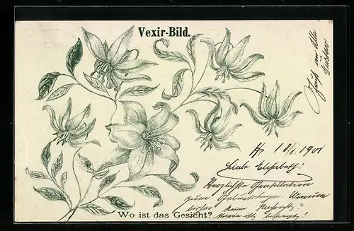AK Vexier-Bild, Wo ist das Gesicht, Lilien, optische Täuschung