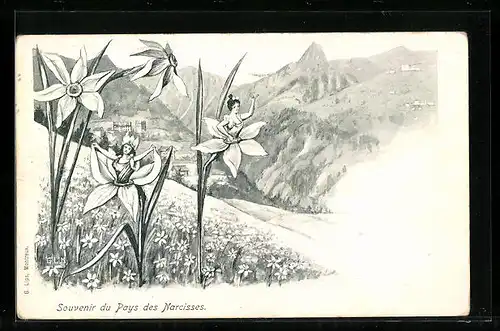 AK Pays des Narcisses, zwei Frauen blicken aus den Blüten von Narzissen heraus