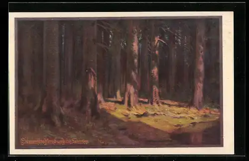 Künstler-AK Franz Jung-Ilsenheim: Waldlandschaft von der Sonne beschienen