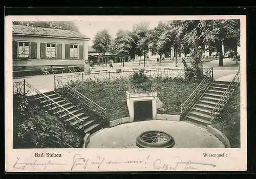 AK Bad Steben, Blick auf Wiesenquelle