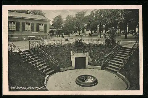 AK Bad Steben, Blick auf Wiesenquelle