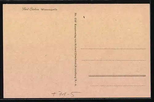 AK Bad Steben, Blick auf Wiesenquelle