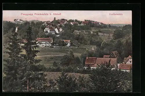 AK Prackenfels b. Altdorf, Panorama mit Pretthalmühle
