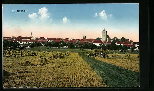 AK Schildau, Panorama des Ortes, mit Erntewagen