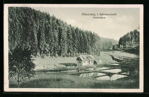 AK Altensteig /Schwarzw., Fischweiher mit Haus aus der Vogelschau