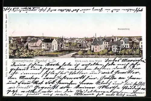 AK Naunhof /Sa., Blick nach dem Wald