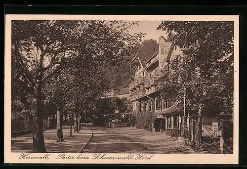 AK Herrenalb, Partie beim Schwarzwald-Hotel