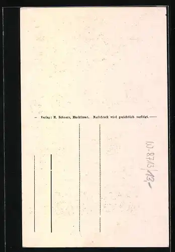 AK Marktbreit a. M., Rathaus mit Maintor