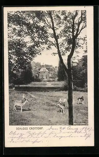 AK Crottorf, Damwild beim Schloss