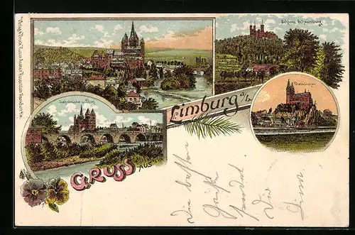 Lithographie Limburg / Lahn, Ortsansicht aus der Vogelschau, Dom und Schloss Schaumburg
