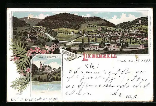 Lithographie Liebenzell, Panorama, Villa Schlayer