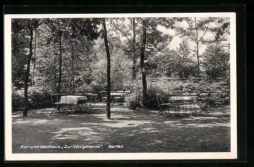 AK Dobrock, Kur- und Gasthaus zur Königstanne P. Kühlcke, Garten