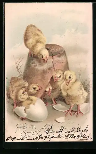 AK Osterküken verstecken sich im Blumentopf