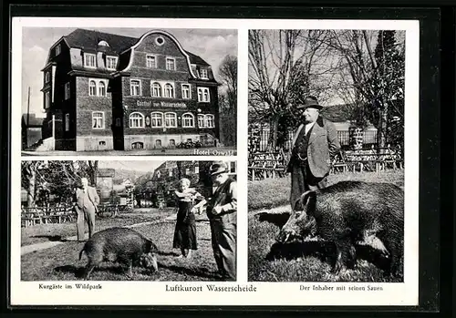 AK Würgendorf, Hotel-Restaurant Zur Wasserscheide, Kurgäste im Wildpark