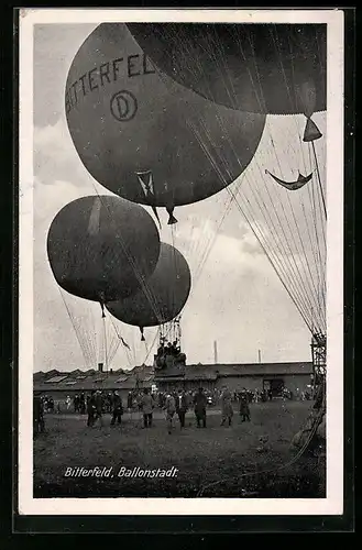 AK Bitterfeld, Ballons auf einer Wiese