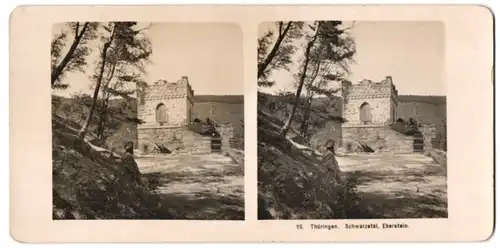 Stereo-Fotografie NPG, Ansicht Dittersdorf, Partie an der Ruine des Jagdschloss Eberstein