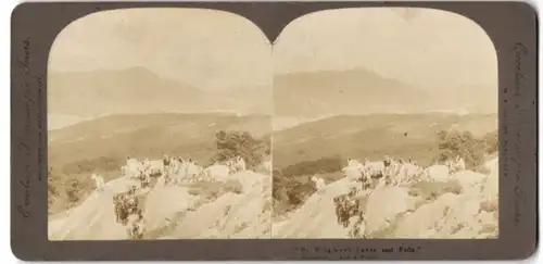 Stereo-Fotografie M. E. Wright, Burnley, Ansicht Killarney, Ziegen am Killarney Lake and Fells