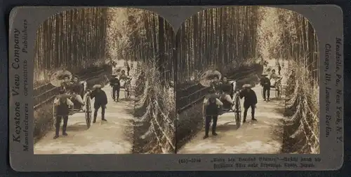 Stereo-Fotografie Keystone View Co., London, Ansicht Kyoto, Strasse im Bambuswald bei Kiyomizu, Rikscha, Tracht