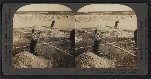 Stereo-Fotografie Keystone View Co., London, Ansicht Solinen, russiche Salzbauern beim verteilen des Salzes zum trocknen