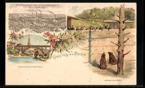 Lithographie Bern, Bärengraben, Blick zur Kirchenfeldbrücke, Reklame für Hoffmann`s Stärkefabriken Salzuflen