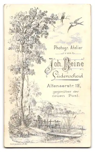 Fotografie Joh. Beine, Lüdenscheid, Altenaerstr. 12, Bürgerlicher Herr mit grauem Vollbart