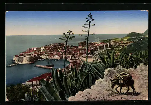 AK Dubrovnik, Ortsansicht mit Hafen aus der Vogelschau