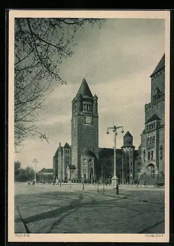 AK Posen, Schloss