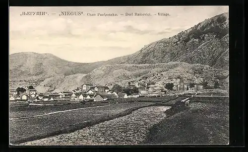 AK Niegus, Dorf Raicevici