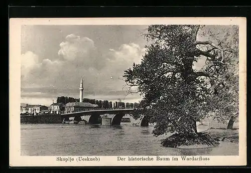 AK Skopje, Der historische Baum im Wardarfluss