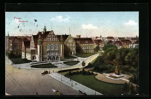 AK Posen, Luftaufnahme der Akademie