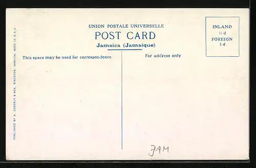 AK Kingston, Greetings from Jamaica, Kingston Harbour