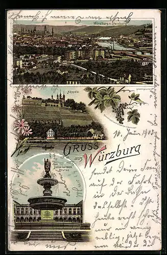 Lithographie Würzburg, Teilansicht vom Steinberg, Käppele, Prinz Luitpold Brunnen