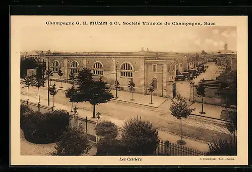 AK Reims, Champagne G.H. Mumm & Co, Sociète Vinicole de Champagne-Les Celliers