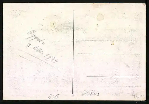 AK Frau Direktor Aeros mit ihren echten Berberhengsten im Zirkus