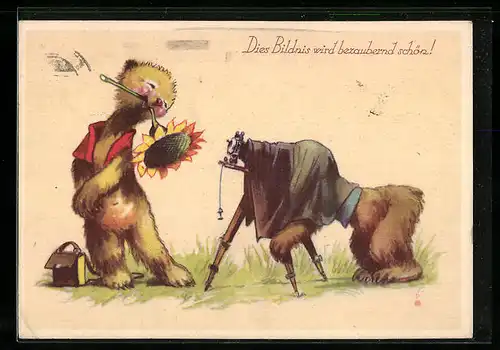 AK Bär wird mit einer Sonnenblume im Maul photographiert