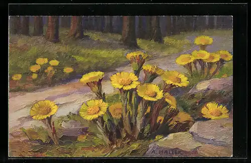 Künstler-AK Anna Haller: Gelbe Blumen am Waldesrand