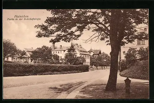 AK Hainichen, Partie in der Bahnhofstrasse, mit Hecke und Hydrant