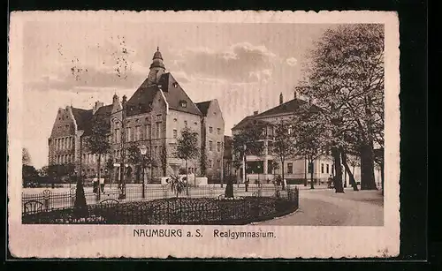 AK Naumburg a. S., Ortspartie mit Realgymnasium und Anlage