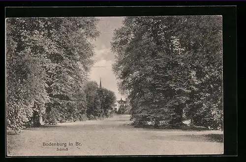 AK Bodenburg in Br., Schloss, vom Park gesehen