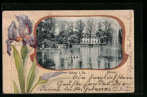AK Zittau i. Sa., Weinau mit Boot, Passepartout