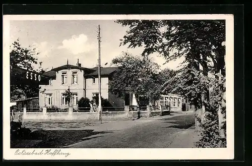 AK Haffkrug, Ostseebad, Strassenpartie mit Bäumen