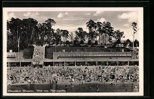 AK Berlin-Wannsee, Strandbad, Blick vom Rettungssteg