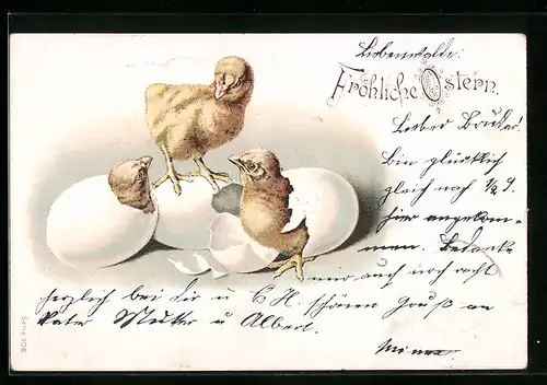 Künstler-AK Osterküken schlüpfen aus den Eiern zu Ostern